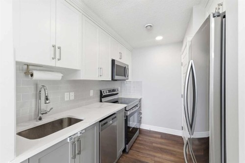 418 Seton Passage Se, Calgary, AB - Indoor Photo Showing Kitchen With Upgraded Kitchen
