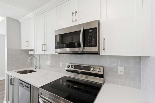 418 Seton Passage Se, Calgary, AB - Indoor Photo Showing Kitchen With Upgraded Kitchen