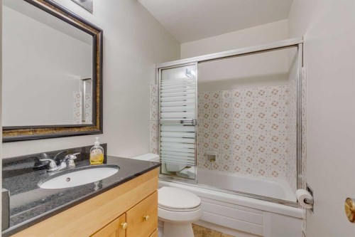 4 Lake Huron Place Se, Calgary, AB - Indoor Photo Showing Bathroom