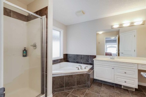 7 Everglade Circle Sw, Calgary, AB - Indoor Photo Showing Bathroom