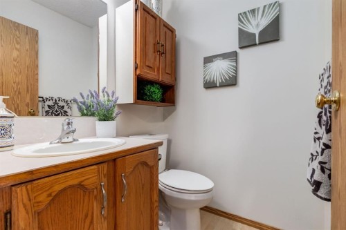 12 Millrise Green Sw, Calgary, AB - Indoor Photo Showing Bathroom
