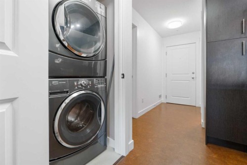 4108-240 Skyview Ranch Road Ne, Calgary, AB - Indoor Photo Showing Laundry Room