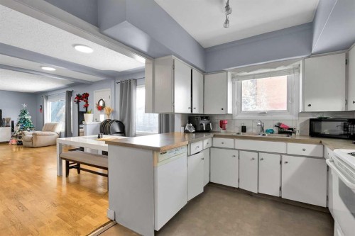 4617 Stanley Road Sw, Calgary, AB - Indoor Photo Showing Kitchen With Double Sink