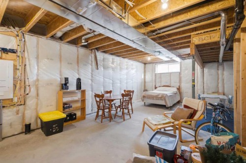 249 Masters Avenue Se, Calgary, AB - Indoor Photo Showing Basement
