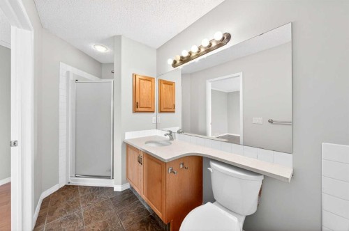 169 Harvest Grove Close Ne, Calgary, AB - Indoor Photo Showing Bathroom