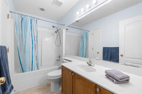 62 Canoe Circle Sw, Airdrie, AB - Indoor Photo Showing Bathroom