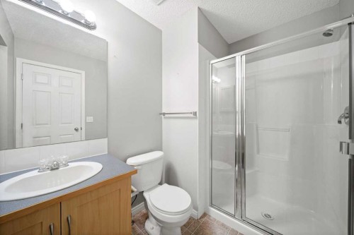 213 Copperfield Lane Se, Calgary, AB - Indoor Photo Showing Bathroom