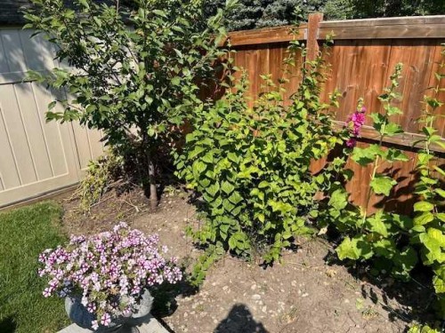 28 Hawktree Circle Nw, Calgary, AB - Outdoor