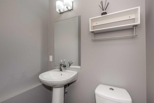 274 Redstone Drive Ne, Calgary, AB - Indoor Photo Showing Bathroom