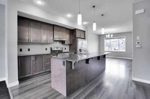 1127 Cornerstone Street Ne, Calgary, AB - Indoor Photo Showing Kitchen With Upgraded Kitchen