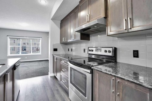 1127 Cornerstone Street Ne, Calgary, AB - Indoor Photo Showing Kitchen With Upgraded Kitchen