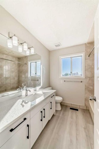 120 Martinview Close Ne, Calgary, AB - Indoor Photo Showing Bathroom