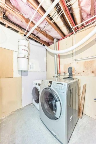 120 Martinview Close Ne, Calgary, AB - Indoor Photo Showing Laundry Room