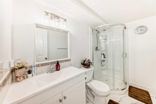 187 Taravista Street Ne, Calgary, AB - Indoor Photo Showing Bathroom