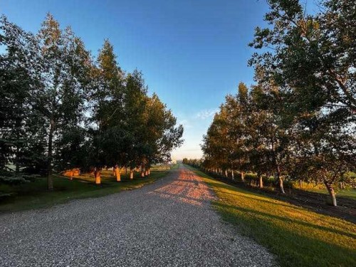 165016 Rge Rd 285 Road, Rural Willow Creek No. 26, M.D. Of, AB - Outdoor