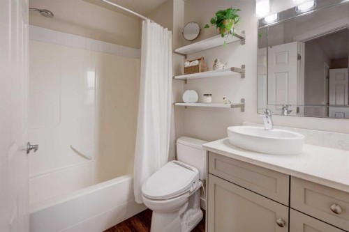33 Willowbrook Crescent Nw, Airdrie, AB - Indoor Photo Showing Bathroom