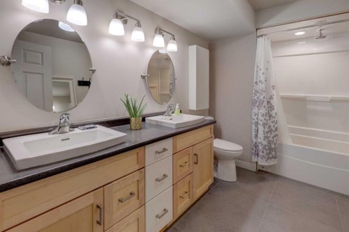 33 Willowbrook Crescent Nw, Airdrie, AB - Indoor Photo Showing Bathroom