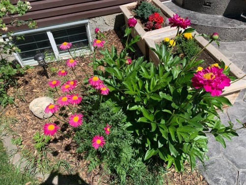 89 Cougar Ridge View Sw, Calgary, AB - Outdoor