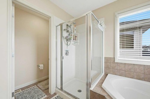 101 Panamount Manor Nw, Calgary, AB - Indoor Photo Showing Bathroom