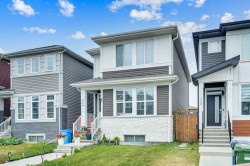 244 Cornerstone Grove NE Calgary, AB T3N 2A6