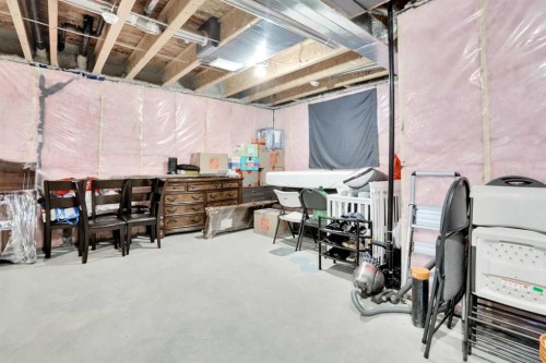 244 Cornerstone Grove Ne, Calgary, AB - Indoor Photo Showing Basement