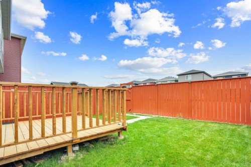 244 Cornerstone Grove Ne, Calgary, AB - Outdoor