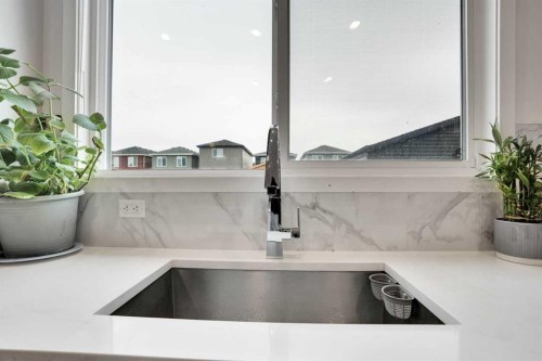 244 Cornerstone Grove Ne, Calgary, AB - Indoor Photo Showing Kitchen