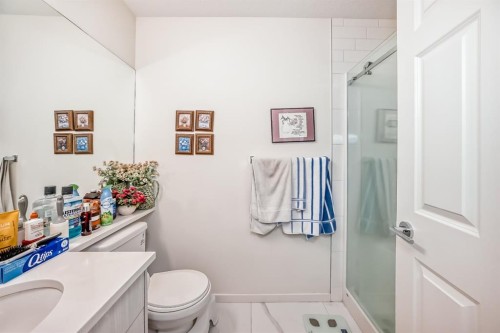 1118-298 Sage Meadows Park Nw, Calgary, AB - Indoor Photo Showing Bathroom