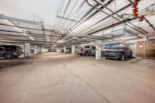 1118-298 Sage Meadows Park Nw, Calgary, AB - Indoor Photo Showing Garage