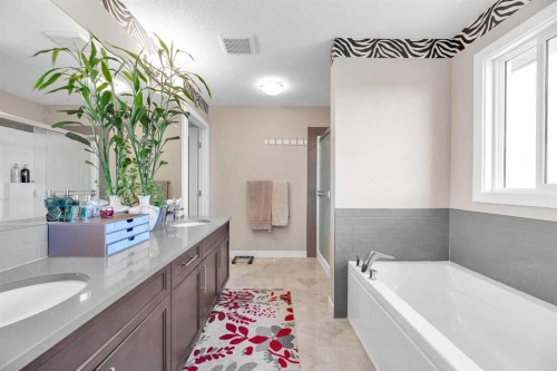 304 Corner Meadows Manor Ne, Calgary, AB - Indoor Photo Showing Bathroom