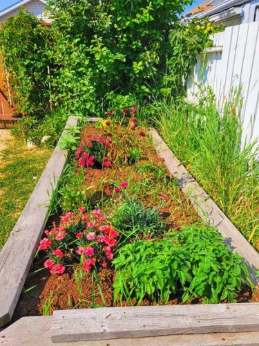 99 Inverness Park Se, Calgary, AB - Outdoor