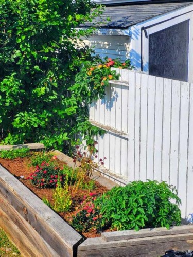 99 Inverness Park Se, Calgary, AB - Outdoor