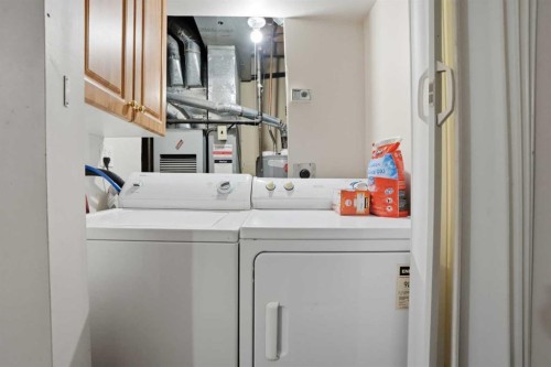 107 Pinemont Bay Ne, Calgary, AB - Indoor Photo Showing Laundry Room