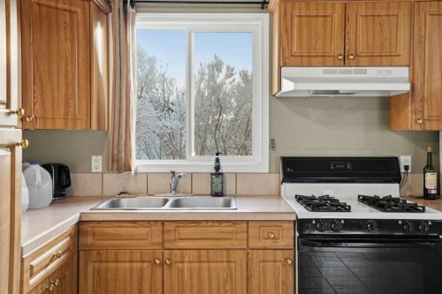 107 Pinemont Bay Ne, Calgary, AB - Indoor Photo Showing Kitchen With Double Sink