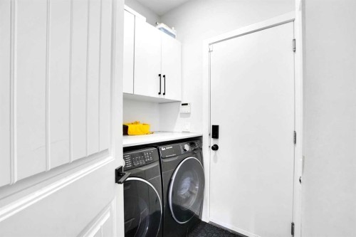 85 Saddlebrook Circle Ne, Calgary, AB - Indoor Photo Showing Laundry Room