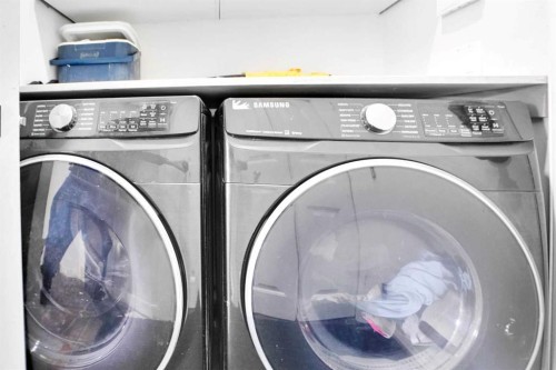 85 Saddlebrook Circle Ne, Calgary, AB - Indoor Photo Showing Laundry Room