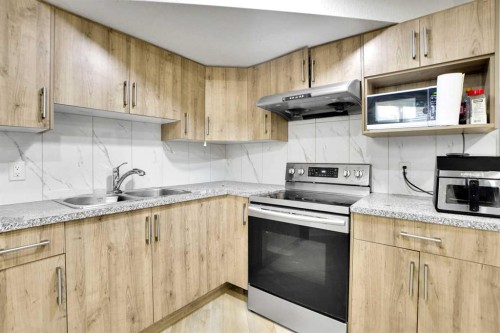 85 Saddlebrook Circle Ne, Calgary, AB - Indoor Photo Showing Kitchen With Double Sink