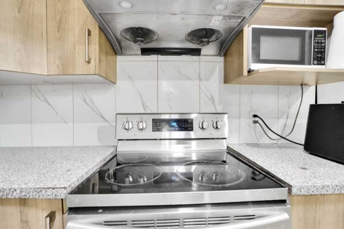 85 Saddlebrook Circle Ne, Calgary, AB - Indoor Photo Showing Kitchen