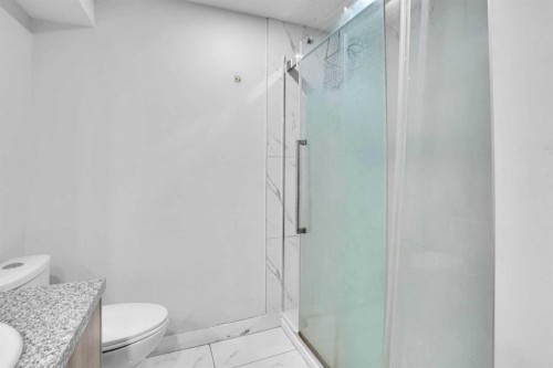 85 Saddlebrook Circle Ne, Calgary, AB - Indoor Photo Showing Bathroom