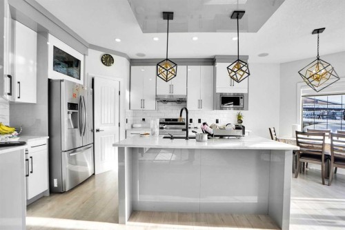 85 Saddlebrook Circle Ne, Calgary, AB - Indoor Photo Showing Kitchen With Upgraded Kitchen