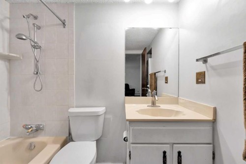 2106-4001B 49 Street Nw, Calgary, AB - Indoor Photo Showing Bathroom