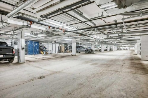2316-200 Seton Circle Se, Calgary, AB - Indoor Photo Showing Garage