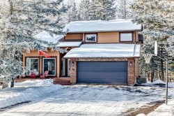 50 Manyhorses Drive  Rural Rocky View County, AB T3Z 1A4
