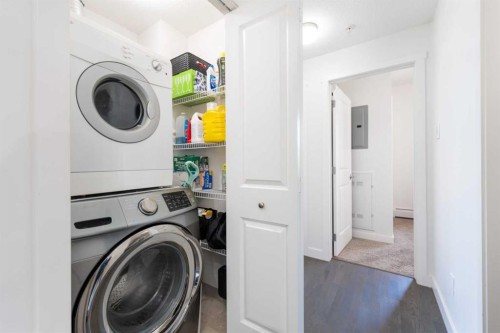 2205-175 Silverado Boulevard Sw, Calgary, AB - Indoor Photo Showing Laundry Room