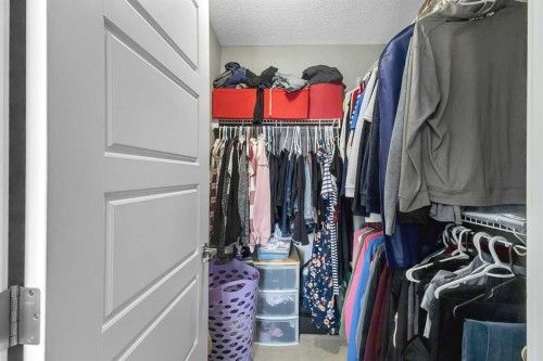 124 Red Embers Crescent Ne, Calgary, AB - Indoor With Storage