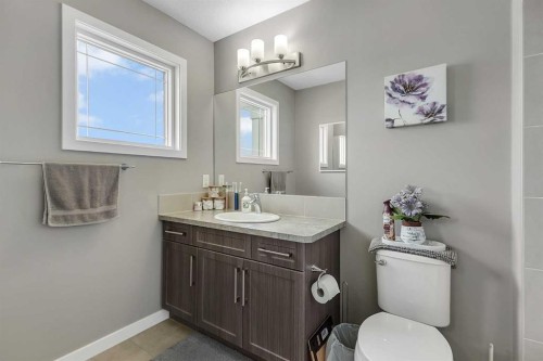 124 Red Embers Crescent Ne, Calgary, AB - Indoor Photo Showing Bathroom