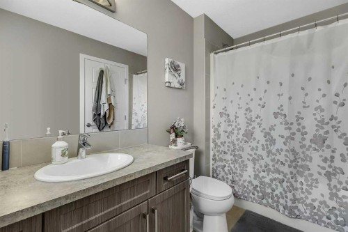 124 Red Embers Crescent Ne, Calgary, AB - Indoor Photo Showing Bathroom