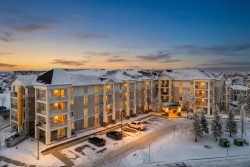 1308-333 Taravista Drive NE Calgary, AB T3J 0H3