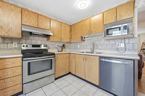 284 Falton Drive Ne, Calgary, AB - Indoor Photo Showing Kitchen With Stainless Steel Kitchen With Double Sink