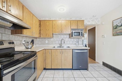 284 Falton Drive Ne, Calgary, AB - Indoor Photo Showing Kitchen With Stainless Steel Kitchen With Double Sink